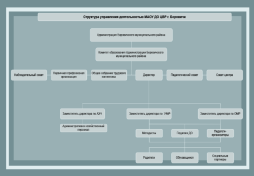 Схема управления деятельностью МАОУ ДО ЦВР г.Боровичи